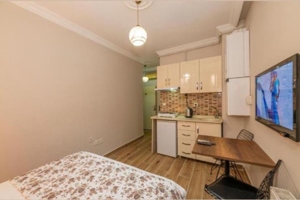 واحد ماهانه توریستی استانبول تکسیم