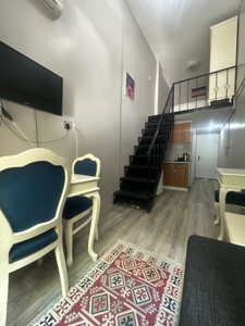 اجاره ماهانه بکخواب دوبلکس تکسیم هاربیه