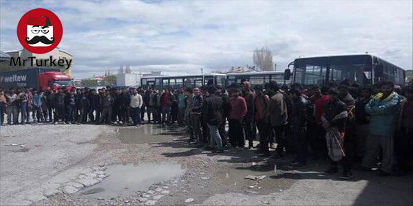 دستگیری 90 مهاجر در وان ترکیه